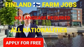 HOW TO GET A JOB IN FINLAND 🇫🇮 2024/ MOVE TO FINLAND FOR FREE/ NO FINISH LANGUAGE REQUIREMENTS