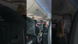 First class cat got loose during flight