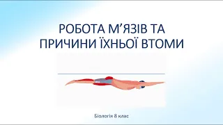 Біологія людини. Робота м'язів та причини  їхньої втоми