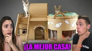 ¡¡LA MEJOR CASA PARA BEBÉS GATO DEL MUNDO!! CON LYNA