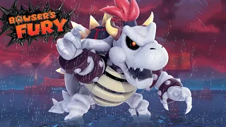 Bowser's Fury - Secret Final Dry Bowser Boss Fight 4K