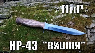 Нож разведчика НР-43 Вишня от фирмы АиР. Выживание. Тест №173