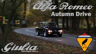 Autumn Drive 2020 - Alfa Romeo Giulia 1300 Super Nuova - Last season 2020 drive!