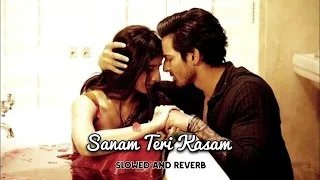 Sanam Teri Kasam (Slowed + Reverb) | Ankit Tiwari | Palak Muchhal | Lofi Everyday With Me