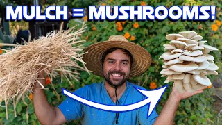 3 Ways YOU Can Grow Mushrooms In The Garden