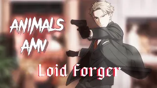 Loid Forger || Spy x Family - Animals AMV