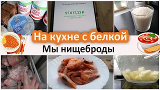 На кухне с белкой. Как составляю список. Что в холодильнике? Мои запасы. Мы нищеброды