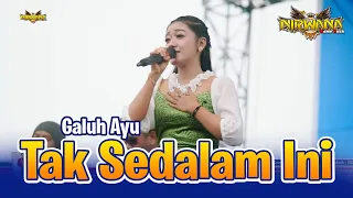 TAK SEDALAM INI - Galuh Ayu - OM NIRAWANA COMEBACK Live Wonoayu Mojoagung