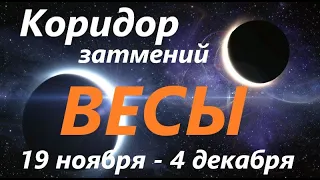 ВЕСЫ ♌ КОРИДОР ЗАТМЕНИЙ 🚀 с 19 ноября - по 4 декабря 2021👍 расклад прогноз таро!