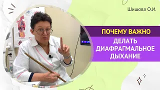 ПОЧЕМУ ВАЖНО КАЖДЫЙ ДЕНЬ, ДЕЛАТЬ ДИАФРАГМАЛЬНОЕ ДЫХАНИЕ. [Шишова О.И.]