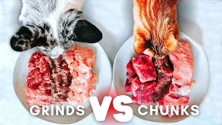 The Good And The Bad About Raw Pet Food Grinds