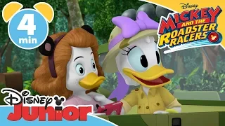 Mickey and the Roadster Racers | Safari, So, Good 🐯 - Magical Moment ✨  | Disney Kids