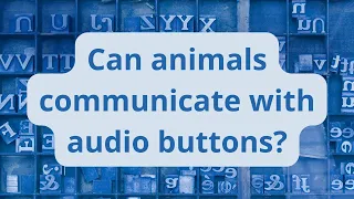 Can animals learn to speak with audio buttons?