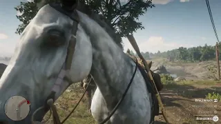 Red Dead Redemption 2 Гонка на лошадях с незнакомцем до Ван Хорна