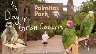 fun day in Palmitos Park in Gran Canaria✨🦜