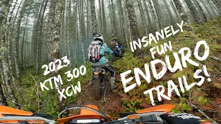 INSANELY FUN ENDURO TRAILS! 2023 KTM 300 XC-W