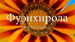 Фуэнхирола. Город развлечений Коста-дель-Соль! | Фуэнхирола, испания.