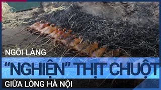 Trải nghiệm đặc sản "thịt chuột" tại làng Canh Nậu | VTC Tin mới