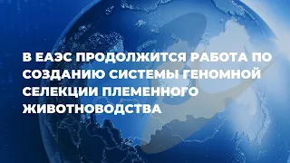 ЕЭК продолжит работу по созданию системы геномной селекции ЕАЭС | Артак Камалян