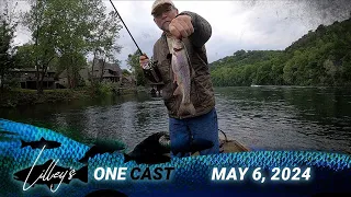 Lilley's One Cast, May 6