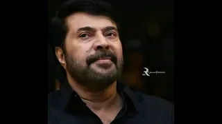 Celebrities About MAMMOOTTY ||ഇന്ത്യൻ സിനിമയുടെ അഭിമാനം😍😍