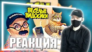 ВЕСЕЛЫЕ ВИДОСИКИ! 5 МИНУТ СМЕХА (ИЛИ НЕТ) 3 ВЫПУСК | РЕАКЦИЯ НА ОЛЕЖЭ