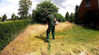 Trimming and Mowing a Tall grass