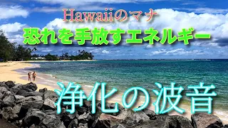 Hawaiiから🌺【恐れを手放すエネルギー】浄化作用の高い波