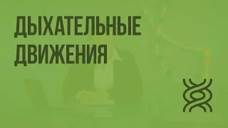 Дыхательные движения. Видеоурок по биологии 8 класс