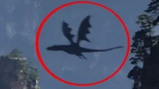 5 REAL DRAGON CAUGHT ON CAMERA