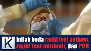 Inilah beda rapid test antigen, rapid test antibodi, dan PCR