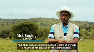 Boosting dairy farm productivity in Uganda: The TIDE project