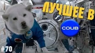 Лучшее в COUB 2016 часть 70 | Лучшие приколы