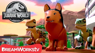 Red to the Rescue | LEGO JURASSIC WORLD: LEGEND OF ISLA NUBLAR