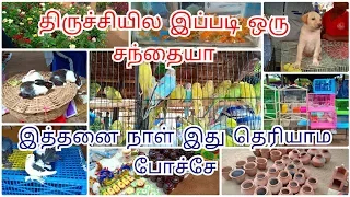 திருச்சியில இப்படி ஒரு சந்தை இருக்கா இது தெரியாம போச்சே