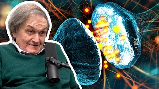 Consciousness is Not a Computation (Roger Penrose) | AI Podcast Clips