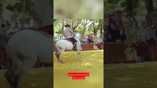 dancing Andalusian horse showing off her moves #shorts