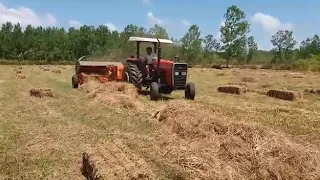 Massey Ferguson 276 Gold ve Paksan Karataş ile Balye Yapıyoruz