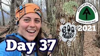 Day 37 | Mile 600 & Weary Feet Hostel | Appalachian Trail 2021