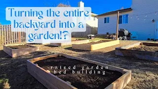 Building raised garden beds | Garden expansion