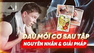 TÌM KIẾM CƠN ĐAU SAU TẬP LUYỆN | T3KT