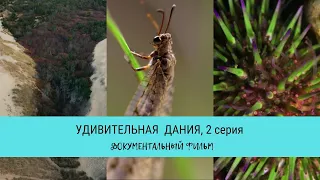 Удивительная Дания, 2 серия / Рейтинг 9,8 / Документальный фильм (2020)