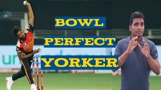 Yorker பந்து வீசுவது எப்படி ? | Bowl perfect Yorker in cricket | cricket tips in tamil