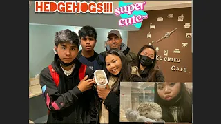 Lib Fam Tokyo Adventure : Hedgehog Cafe Shibuya