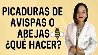 ¿Qué hacer si me pica una abeja o una avispa? 🐝 ┃Dra. Ana Guajardo