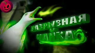 Разрывная чайка [CS:GO]