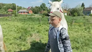 Новинка💣дві красуні 🥰парширонки💣🥰💣