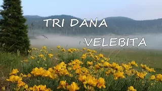 SJEVERNI VELEBIT planinarenje, šatori, izlet tri dana s klincima