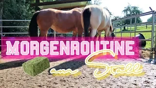 MORGENROUTINE AM STALL | SELBSTVERSORGER | STALLARBEITEN