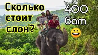 Сколько стоит слон?  Паттайя 2019